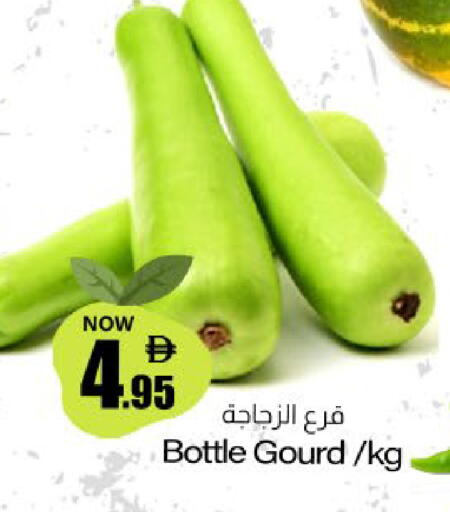 available at ميم ساجدة in الإمارات العربية المتحدة , الامارات - ٱلْفُجَيْرَة‎