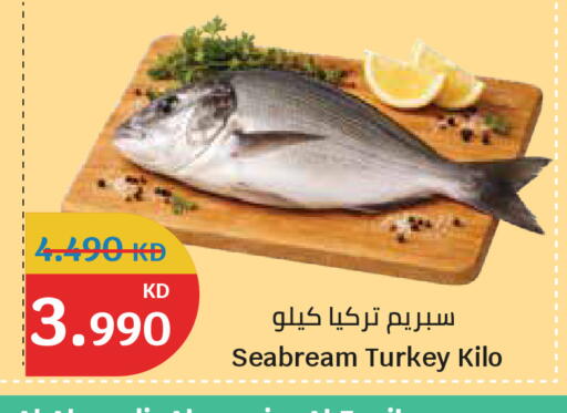 available at سيتي هايبرماركت in الكويت - مدينة الكويت