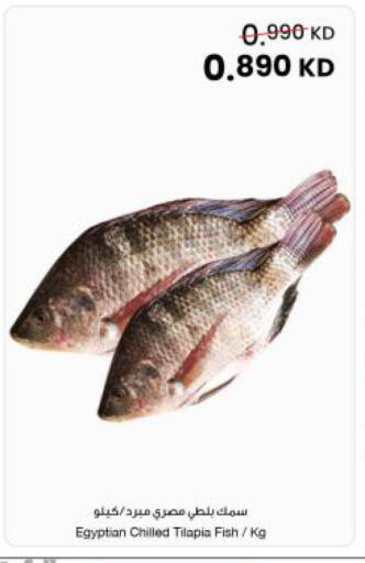 available at مركز سلطان in الكويت - مدينة الكويت