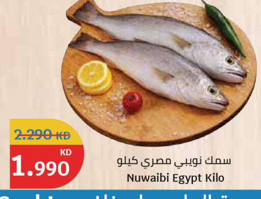 available at سيتي هايبرماركت in الكويت - مدينة الكويت