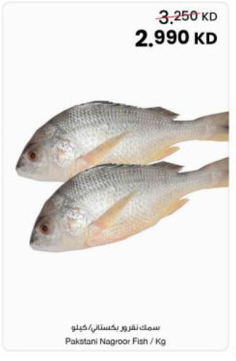 available at مركز سلطان in الكويت - مدينة الكويت