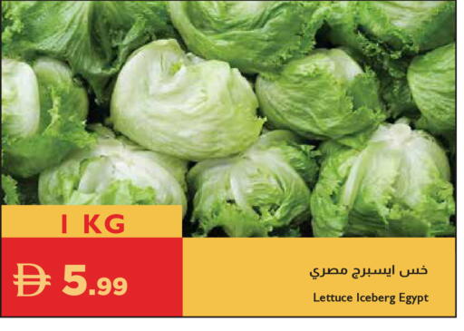 Lettuce from Egypt available at Istanbul Supermarket in UAE - Abu Dhabi