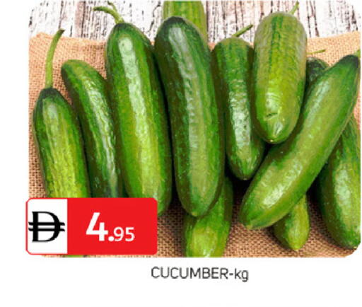 Cucumber available at TALAL MARKET in UAE - Dubai