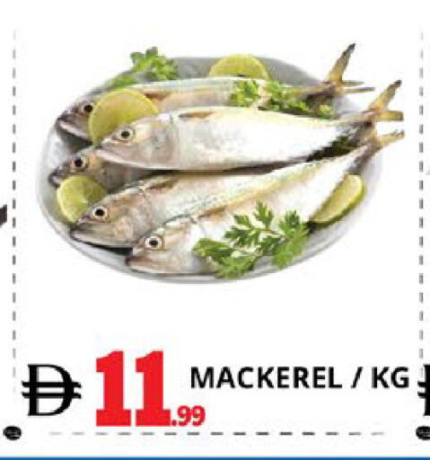 available at EXPRESS AL MADEENA HYPERMARKET LLC in UAE - Abu Dhabi