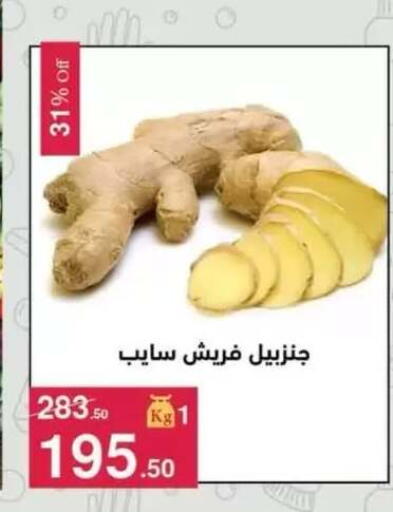 available at Mahmoud El Far in Egypt - Cairo