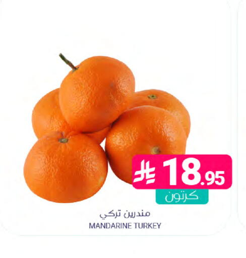 from Turkey available at Muntazah Markets in KSA, Saudi Arabia, Saudi - Saihat