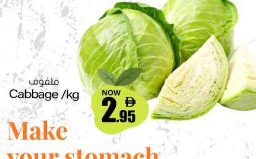Cabbage available at ميم ساجدة in الإمارات العربية المتحدة , الامارات - ٱلْفُجَيْرَة‎