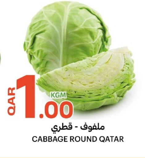Cabbage from Qatar available at البلدي اليوم in قطر - الدوحة
