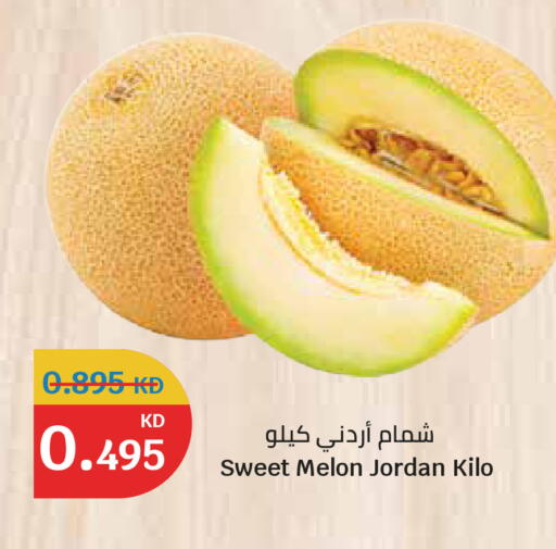Melon from Jordan available at سيتي هايبرماركت in الكويت - مدينة الكويت