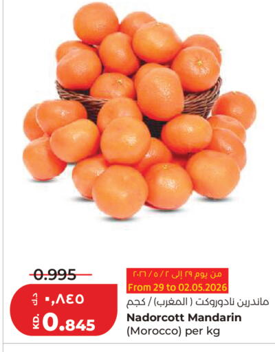 Mandarin from Morocco available at لولو هايبر ماركت in الكويت - مدينة الكويت