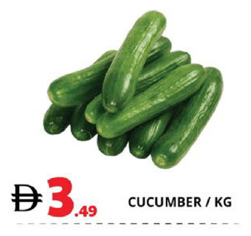 Cucumber available at EXPRESS AL MADEENA HYPERMARKET LLC in UAE - Abu Dhabi