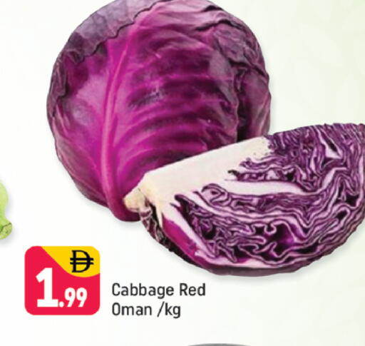 Cabbage from Oman available at شكلان ماركت in الإمارات العربية المتحدة , الامارات - دبي
