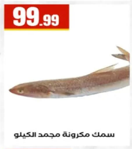 available at El Mahlawy Stores in Egypt - Cairo