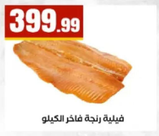 available at El Mahlawy Stores in Egypt - Cairo