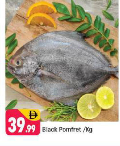 available at شكلان ماركت in الإمارات العربية المتحدة , الامارات - دبي