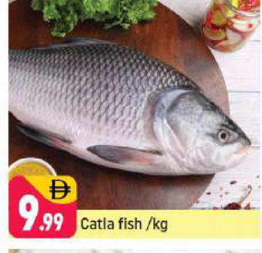 available at شكلان ماركت in الإمارات العربية المتحدة , الامارات - دبي