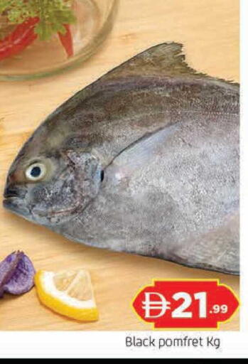 available at المدينة in الإمارات العربية المتحدة , الامارات - الشارقة / عجمان