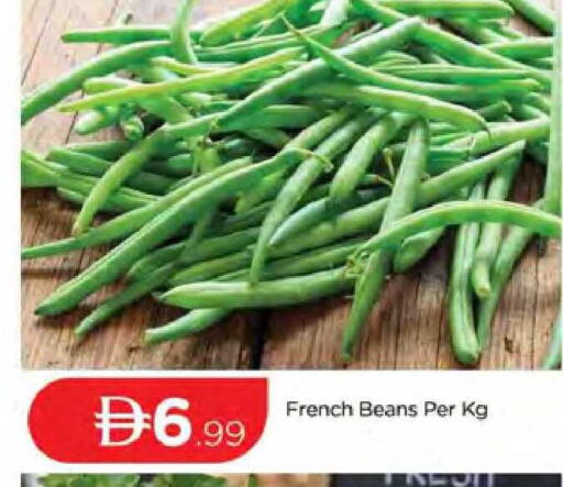 from France available at المدينة in الإمارات العربية المتحدة , الامارات - دبي