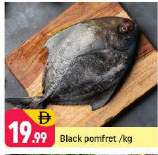 available at شكلان ماركت in الإمارات العربية المتحدة , الامارات - دبي