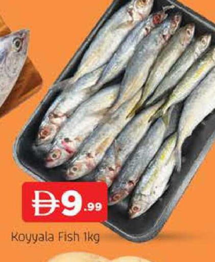 available at المدينة in الإمارات العربية المتحدة , الامارات - دبي