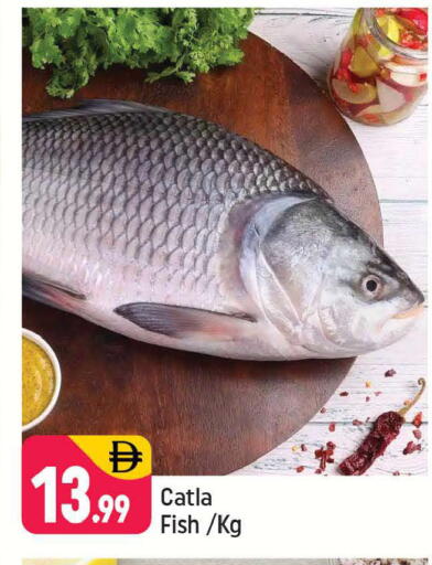 available at شكلان ماركت in الإمارات العربية المتحدة , الامارات - دبي