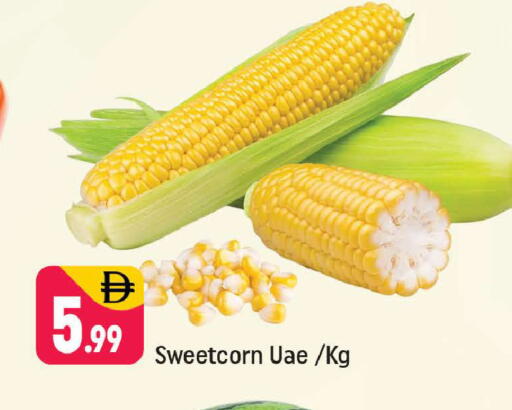 available at Shaklan  in UAE - Dubai