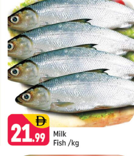 available at شكلان ماركت in الإمارات العربية المتحدة , الامارات - دبي