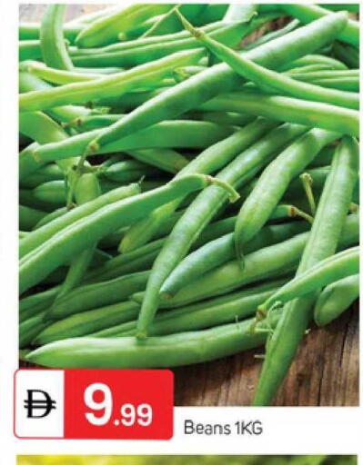 available at سوق طلال in الإمارات العربية المتحدة , الامارات - الشارقة / عجمان