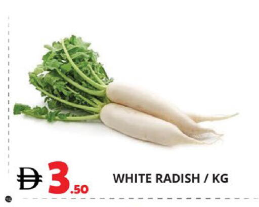 Radish available at اكسبرس المدينة هايبرماركت in الإمارات العربية المتحدة , الامارات - أبو ظبي