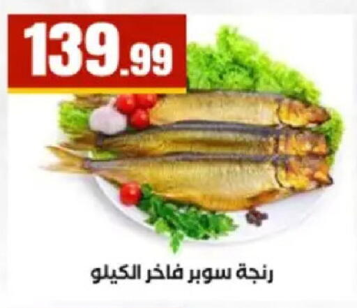 available at El Mahlawy Stores in Egypt - Cairo