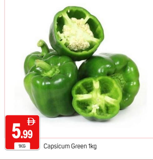 Capsicum available at سوق طلال in الإمارات العربية المتحدة , الامارات - دبي