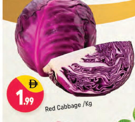 Cabbage available at شكلان ماركت in الإمارات العربية المتحدة , الامارات - دبي