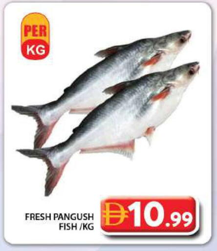 available at Grand Hyper Market in UAE - Dubai