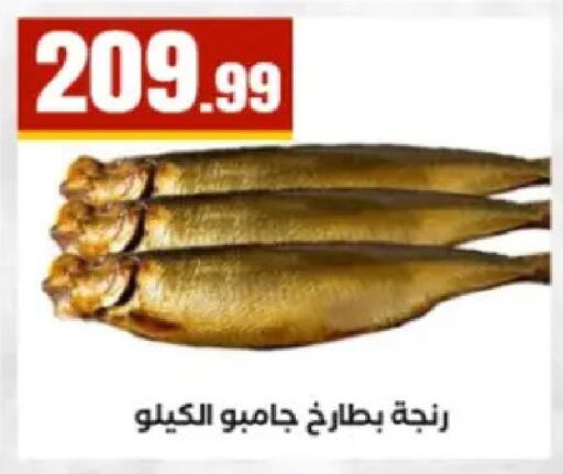 available at El Mahlawy Stores in Egypt - Cairo