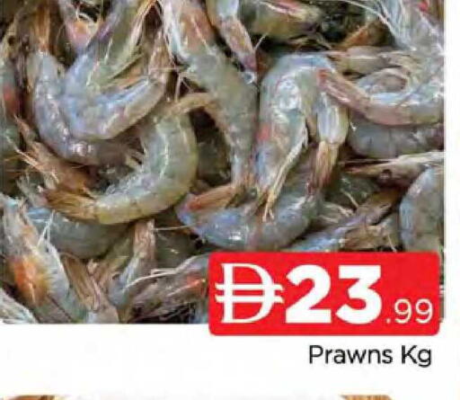 available at المدينة in الإمارات العربية المتحدة , الامارات - دبي