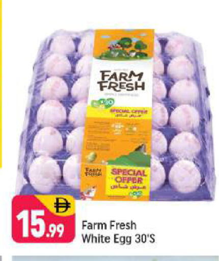 available at Shaklan  in UAE - Dubai