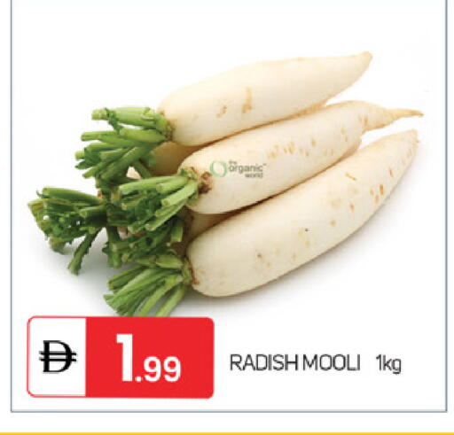 Radish available at سوق طلال in الإمارات العربية المتحدة , الامارات - الشارقة / عجمان