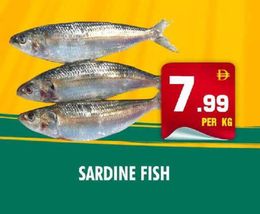 available at نايت تو نايت in الإمارات العربية المتحدة , الامارات - دبي