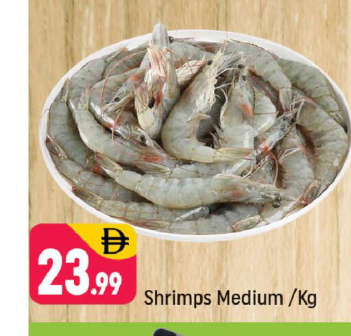 available at شكلان ماركت in الإمارات العربية المتحدة , الامارات - دبي