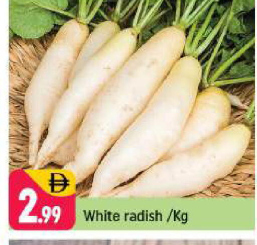 Radish available at شكلان ماركت in الإمارات العربية المتحدة , الامارات - دبي