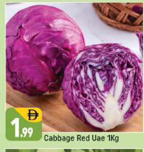 Cabbage available at شكلان ماركت in الإمارات العربية المتحدة , الامارات - دبي