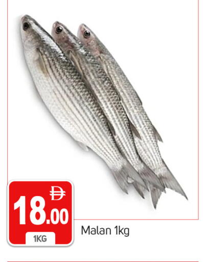 available at سوق طلال in الإمارات العربية المتحدة , الامارات - دبي