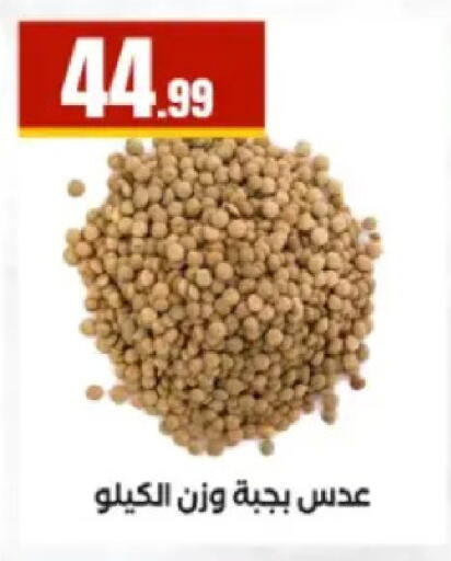 available at El Mahlawy Stores in Egypt - Cairo