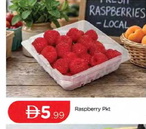 Raspberry available at المدينة in الإمارات العربية المتحدة , الامارات - دبي