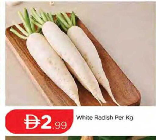 Radish available at المدينة in الإمارات العربية المتحدة , الامارات - دبي