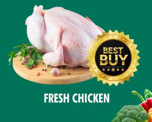 available at نايت تو نايت in الإمارات العربية المتحدة , الامارات - دبي