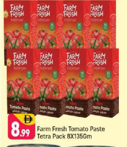 Tomato available at شكلان ماركت in الإمارات العربية المتحدة , الامارات - دبي