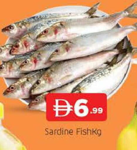 available at المدينة in الإمارات العربية المتحدة , الامارات - دبي