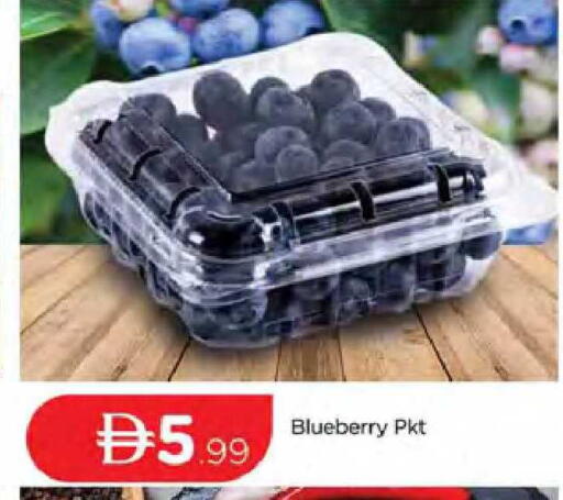 Blueberry BlueBerry available at المدينة in الإمارات العربية المتحدة , الامارات - دبي