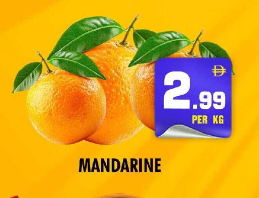 available at NIGHT TO NIGHT DEPARTMENT STORE in UAE - Dubai